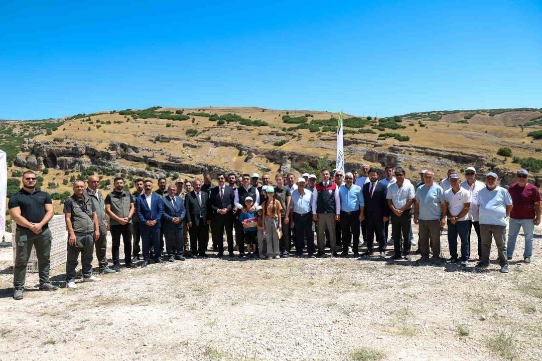 Tunceli'de keneyle biyolojik mücadele: 500 kınalı keklik doğaya salındı